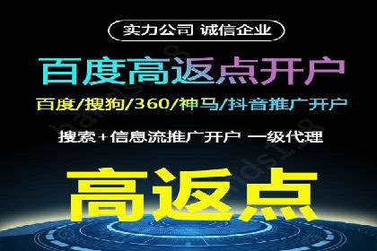 竞价代运营实战案例深度剖析